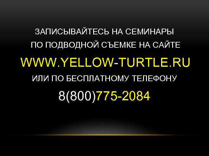 ЗАПИСЫВАЙТЕСЬ НА СЕМИНАРЫ ПО ПОДВОДНОЙ СЪЕМКЕ НА САЙТЕ WWW. YELLOW-TURTLE. RU ИЛИ ПО БЕСПЛАТНОМУ
