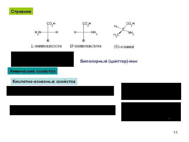 Строение Биполярный (цвиттер)-ион Химические свойства Кислотно-основные свойства 11 