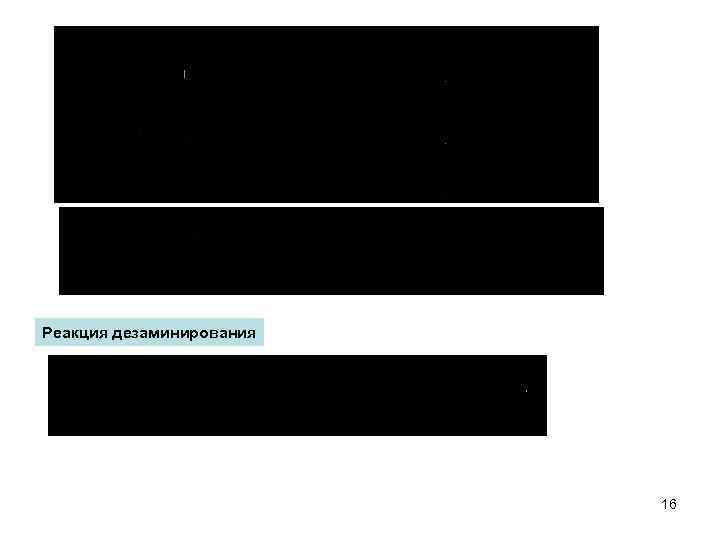 Реакция дезаминирования 16 