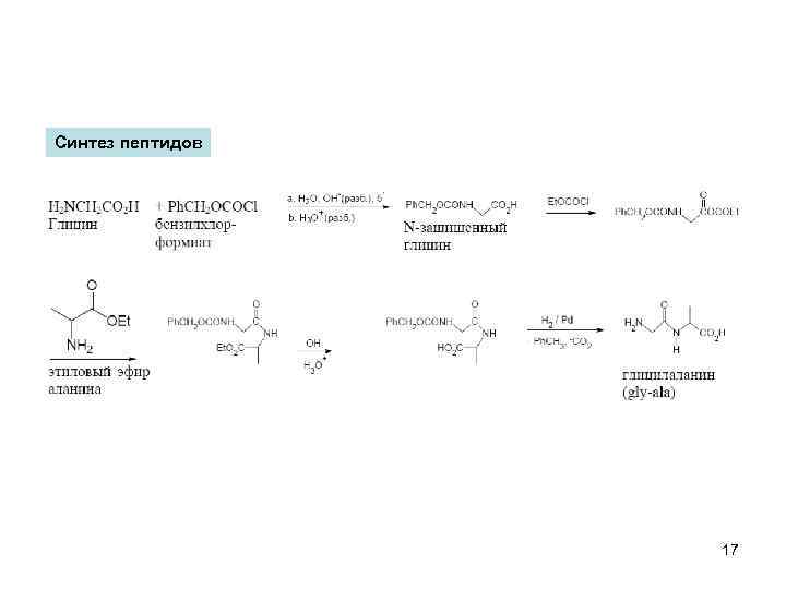Синтез пептидов 17 
