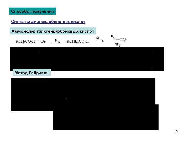 Способы получения Синтез a-аминокарбоновых кислот Аммонолиз галогенкарбоновых кислот Метод Габриэля 2 