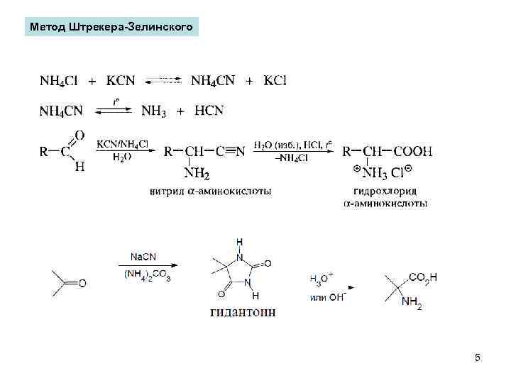 Метод Штрекера-Зелинского 5 
