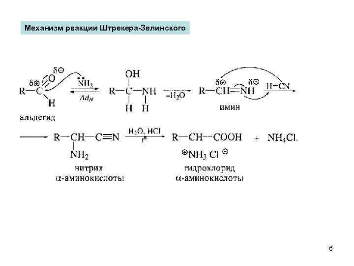 Механизм реакции Штрекера-Зелинского 6 