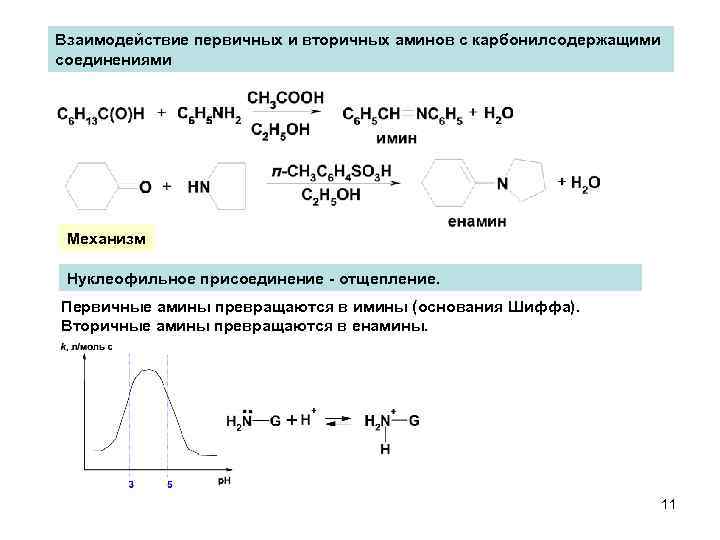 Взаимодействие первичных и вторичных аминов с карбонилсодержащими соединениями Механизм Нуклеофильное присоединение - отщепление. Первичные