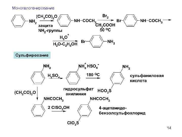 Моногалогенирование Сульфирование 14 