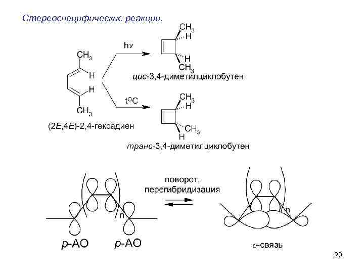 Стереоспецифические реакции. 20 