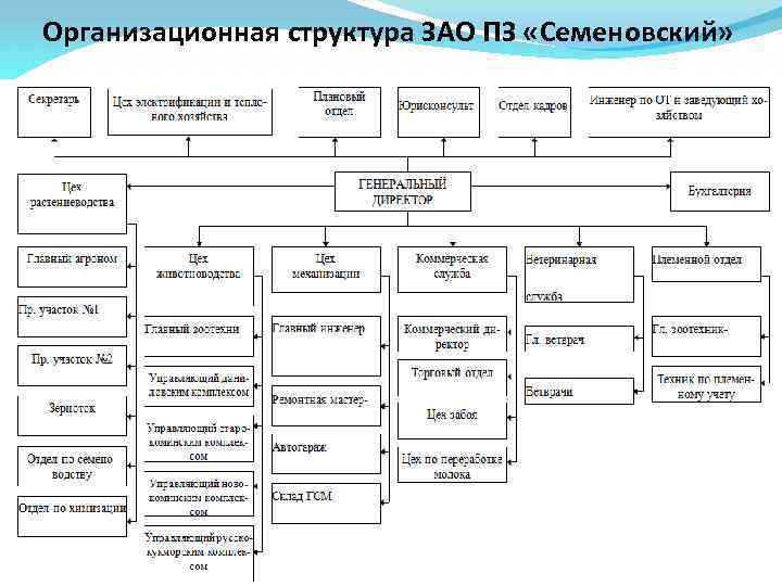 Организационная структура ЗАО ПЗ «Семеновский» 