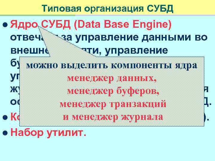 Типовая организация СУБД l Ядро СУБД (Data Base Engine) отвечает за управление данными во