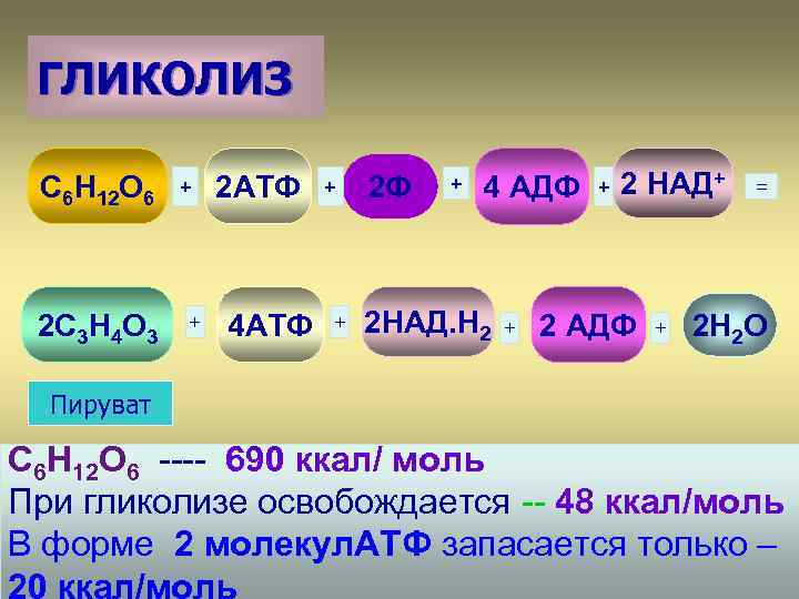 ГЛИКОЛИЗ С 6 Н 12 О 6 2 С 3 Н 4 О 3