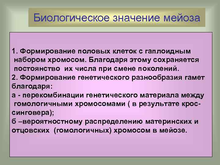 Биологическое значение мейоза 1. Формирование половых клеток с гаплоидным набором хромосом. Благодаря этому сохраняется