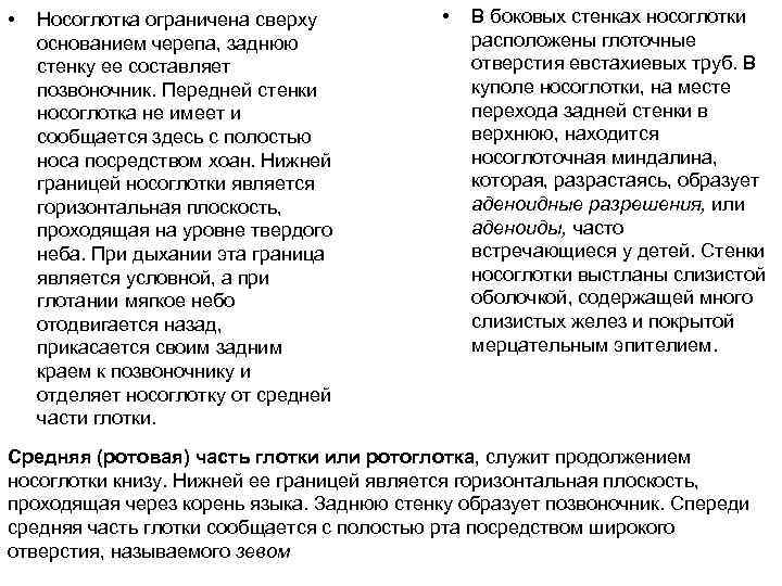  • Носоглотка ограничена сверху основанием черепа, заднюю стенку ее составляет позвоночник. Передней стенки