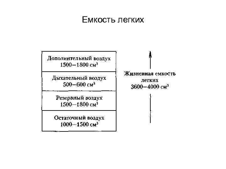 Емкость легких 