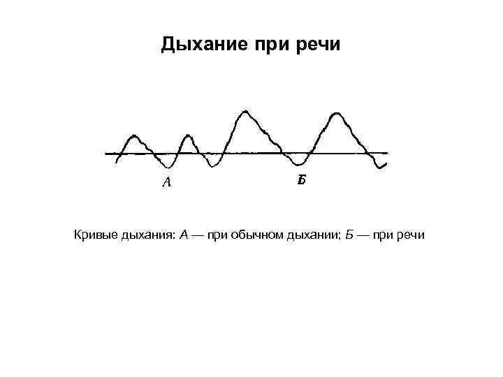 Дыхание при речи Кривые дыхания: А — при обычном дыхании; Б — при речи