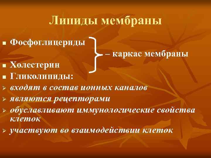 Липиды мембраны Фосфоглицериды – каркас мембраны n Холестерин n Гликолипиды: Ø входят в состав