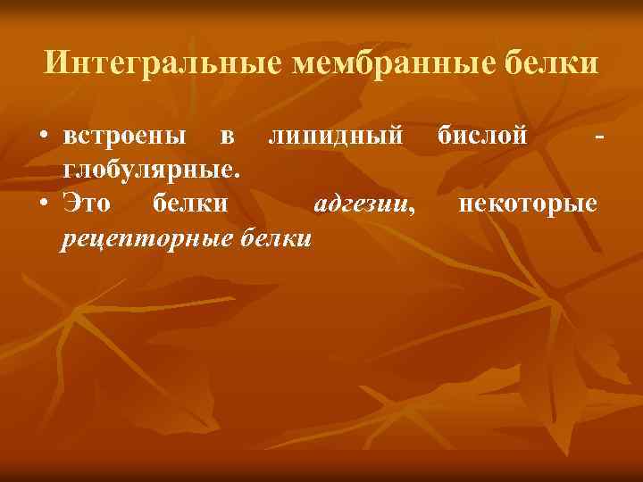 Интегральные мембранные белки Интегральные • встроены в липидный бислой глобулярные. • Это белки адгезии,