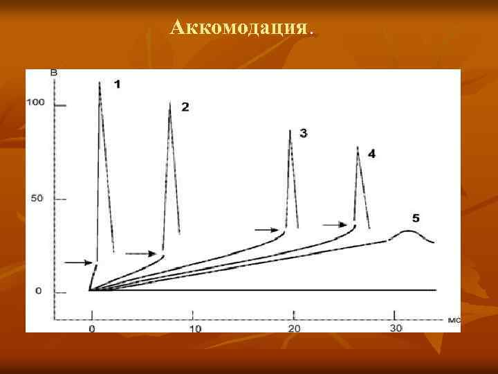 Аккомодация. Аккомодация 