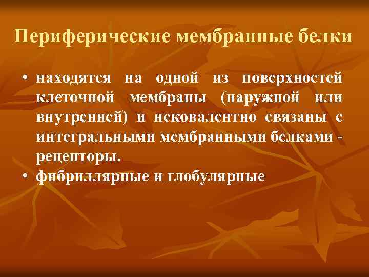 Периферические мембранные белки • находятся на одной из поверхностей клеточной мембраны (наружной или внутренней)