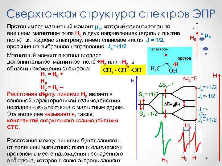 Сверхтонкая структура спектров ЭПР Протон имеет магнитный момент p, который ориентирован во внешнем магнитном