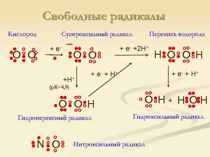 Свободные радикалы Кислород O O Супероксидный радикал + е O O +H+ Перекись водорода