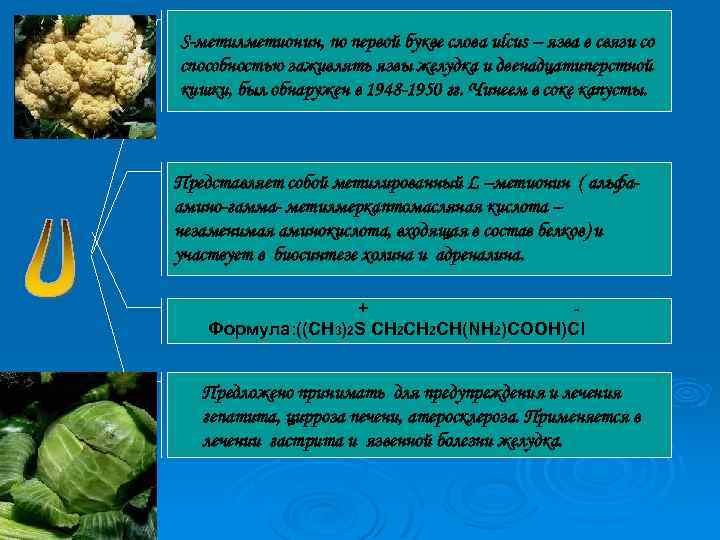S-метилметионин, по первой букве слова ulcus – язва в связи со способностью заживлять язвы