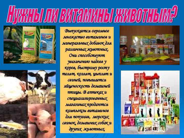 Выпускается огромное множество витаминов и минеральных добавок для различных животных. Они способствуют увеличению надоев