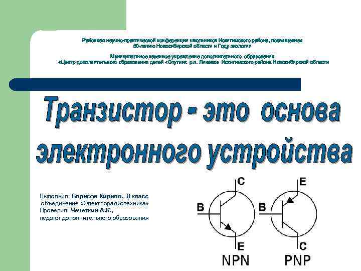 Районная научно-практической конференции школьников Искитимского района, посвященная 80 -летию Новосибирской области и Году экологии