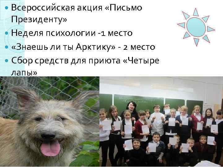 Всероссийская акция «Письмо Президенту» Неделя психологии -1 место «Знаешь ли ты Арктику» - 2