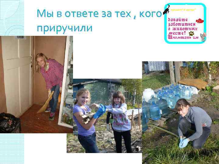 Мы в ответе за тех , кого приручили 