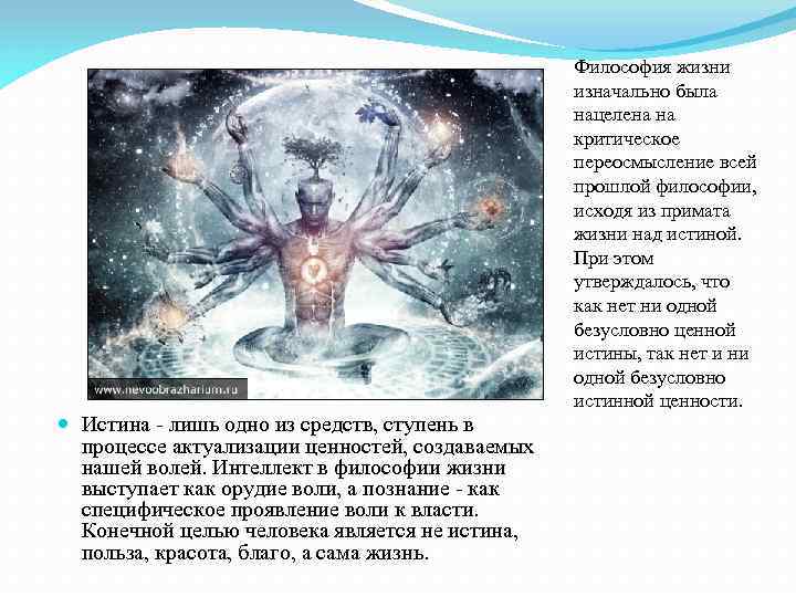 Философия жизни изначально была нацелена на критическое переосмысление всей прошлой философии, исходя из примата