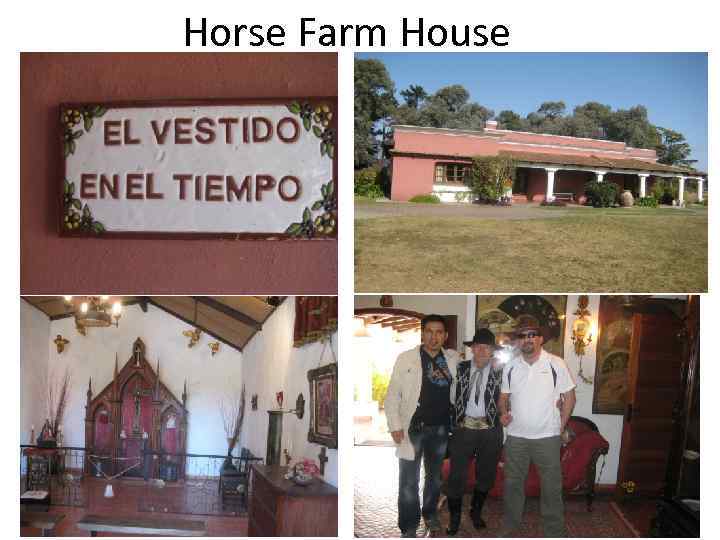 Horse Farm House 