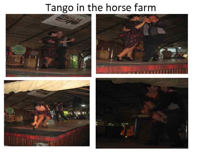 Tango in the horse farm 