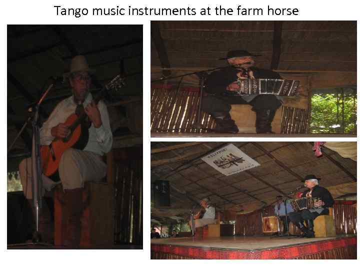 Tango music instruments at the farm horse 