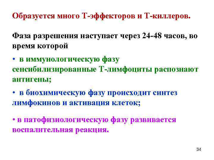 Образуется много Т-эффекторов и Т-киллеров. Фаза разрешения наступает через 24 -48 часов, во время