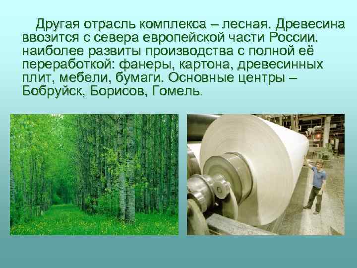 Другая отрасль комплекса – лесная. Древесина ввозится с севера европейской части России. наиболее развиты