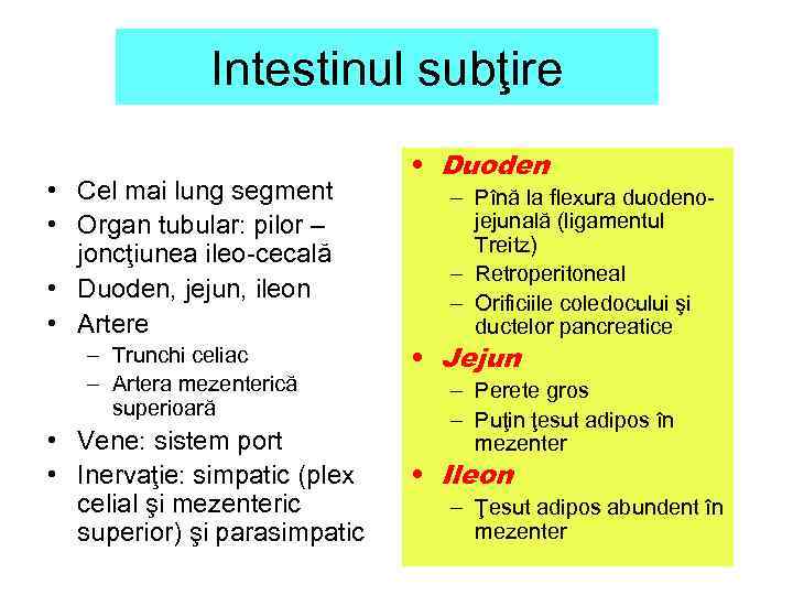 Intestinul subţire • Cel mai lung segment • Organ tubular: pilor – joncţiunea ileo-cecală