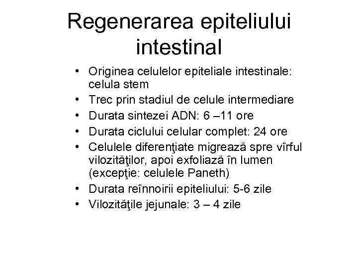 Regenerarea epiteliului intestinal • Originea celulelor epiteliale intestinale: celula stem • Trec prin stadiul
