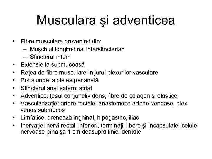 Musculara şi adventicea • Fibre musculare provenind din: – Muşchiul longitudinal intersfincterian – Sfincterul