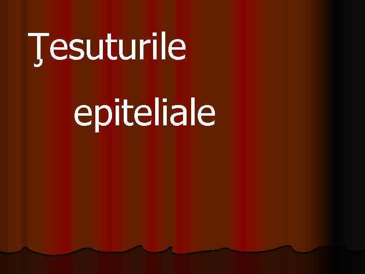 Ţesuturile epiteliale 