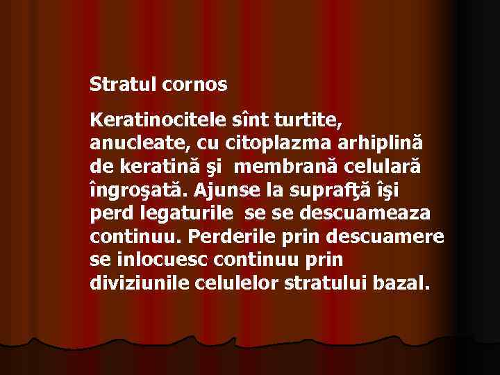 Stratul cornos Keratinocitele sînt turtite, anucleate, cu citoplazma arhiplină de keratină şi membrană celulară