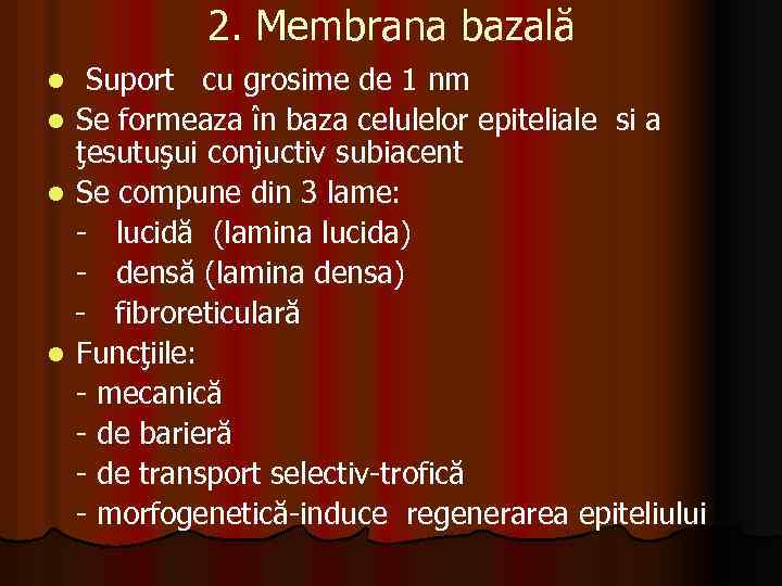 2. Membrana bazală Suport cu grosime de 1 nm l Se formeaza în baza