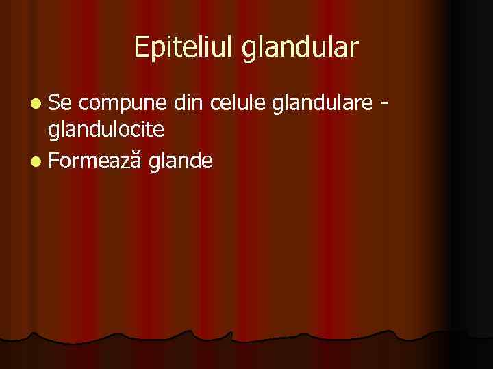 Epiteliul glandular l Se compune din celule glandulare glandulocite l Formează glande 