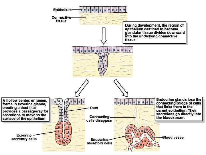 Fig 3 -21 