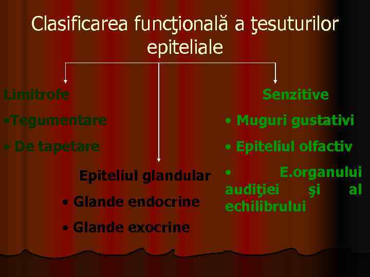 Clasificarea funcţională a ţesuturilor epiteliale Limitrofe Senzitive • Tegumentare • Muguri gustativi • De