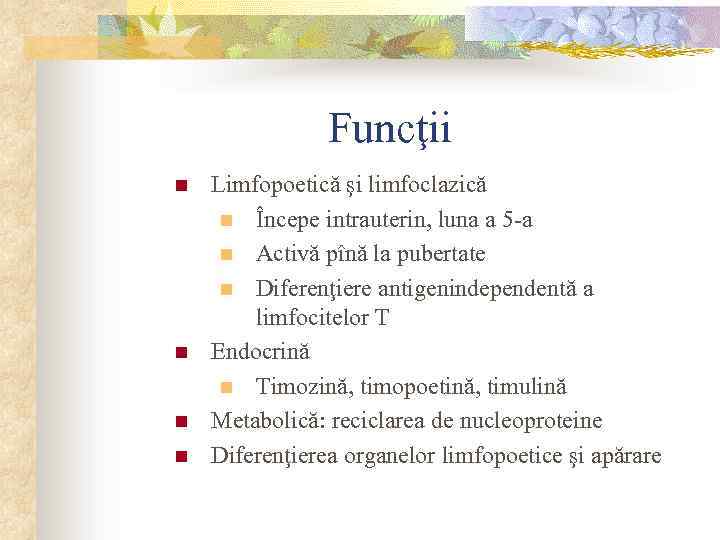 Funcţii n n Limfopoetică şi limfoclazică n Începe intrauterin, luna a 5 -a n