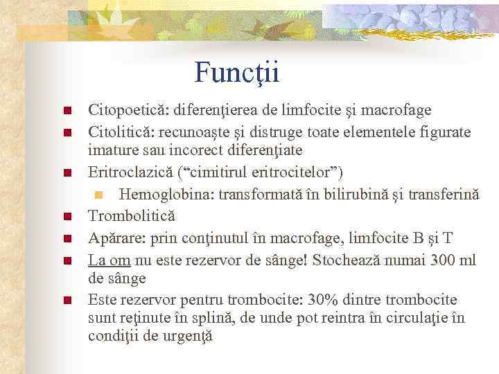 Funcţii n n n n Citopoetică: diferenţierea de limfocite şi macrofage Citolitică: recunoaşte şi