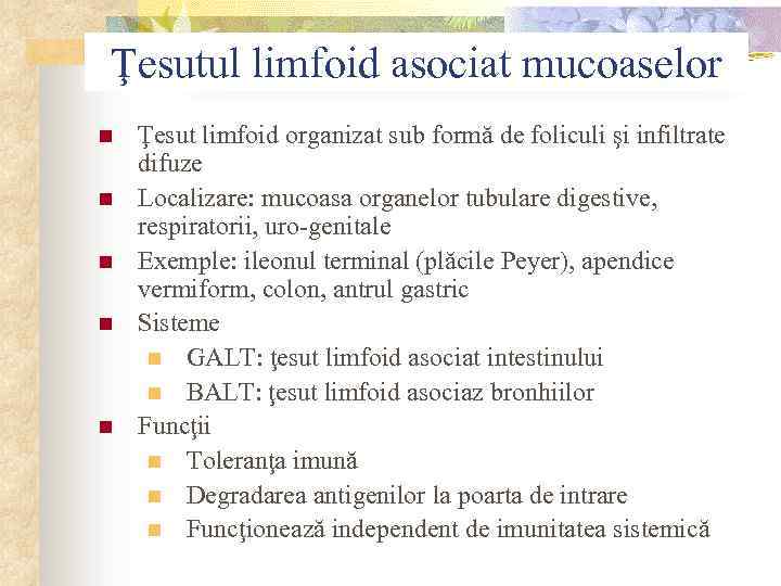 Ţesutul limfoid asociat mucoaselor n n n Ţesut limfoid organizat sub formă de foliculi