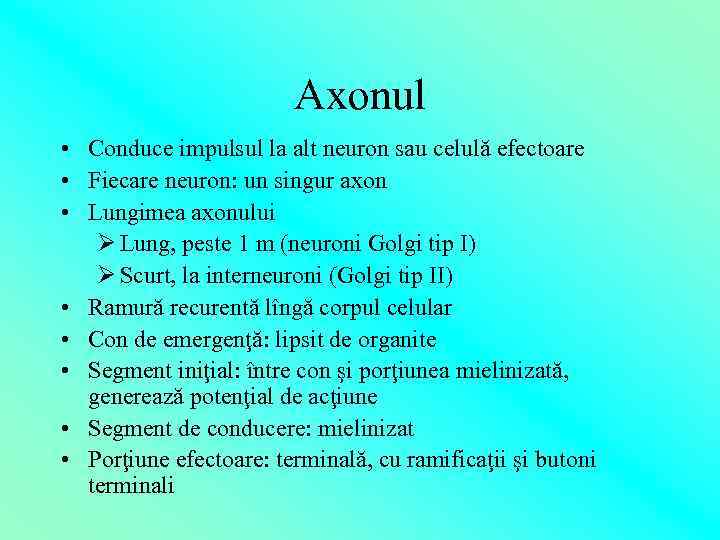 Axonul • Conduce impulsul la alt neuron sau celulă efectoare • Fiecare neuron: un