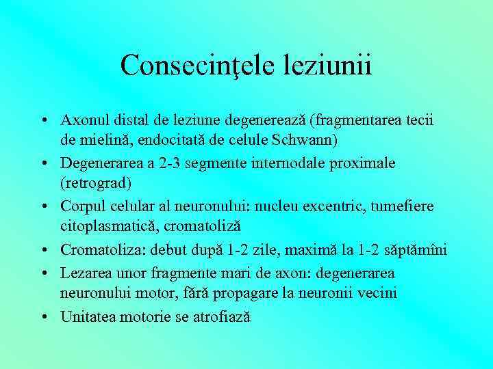 Consecinţele leziunii • Axonul distal de leziune degenerează (fragmentarea tecii de mielină, endocitată de