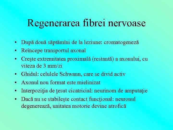 Regenerarea fibrei nervoase • După două săptămîni de la leziune: cromatogeneză • Reîncepe transportul