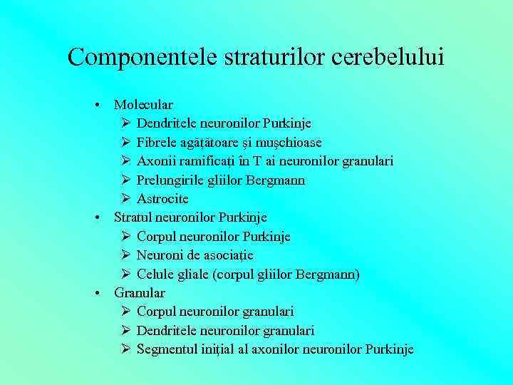 Componentele straturilor cerebelului • Molecular Ø Dendritele neuronilor Purkinje Ø Fibrele agăţătoare şi muşchioase